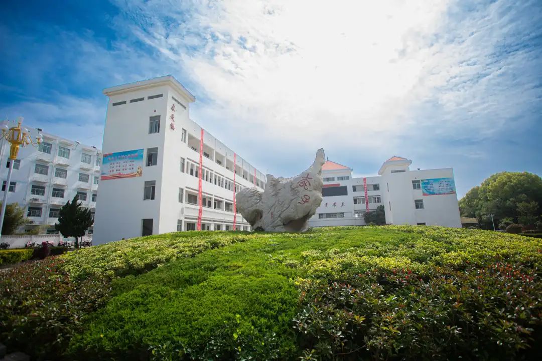 校园环境